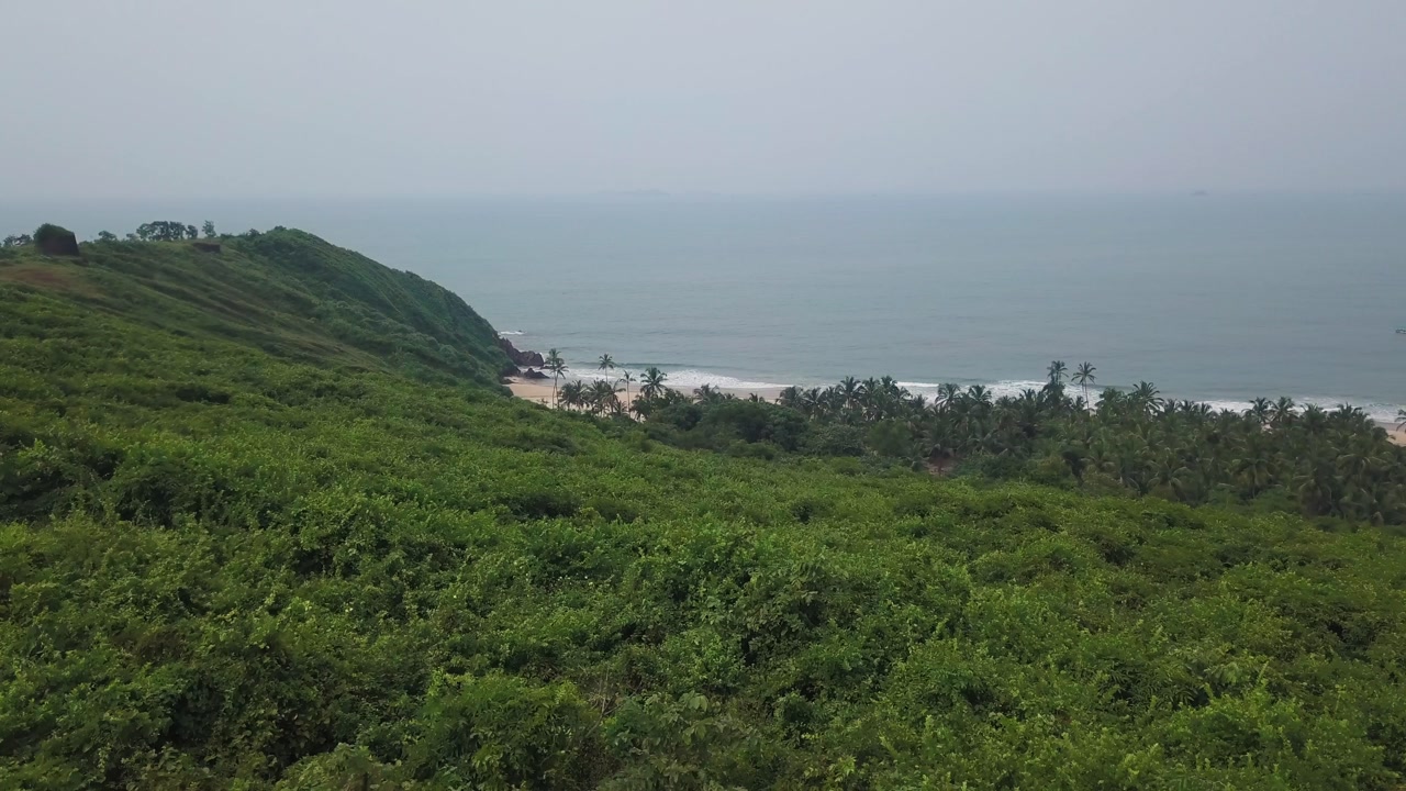 Camera moves over dense green coastal ridge vegetation to reveal Bhogve Beach along the Arabian Sea shoreline in Malvan, Maharashtra, India. Calm waters and palm trees line the isolated sandy beach.