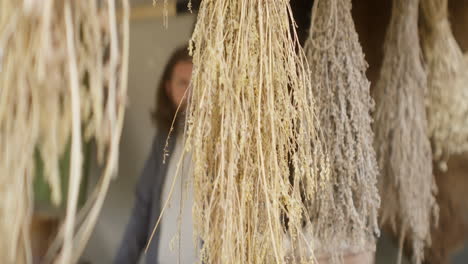 dried herbs hanging in a rustic setting