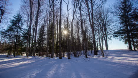 Sonnenlicht-Fällt-Durch-Die-Waldbäume-Und-Wirft-Schatten---Winterzeitraffer