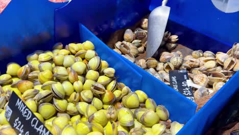 almejas mixtas expuestas en el mercado de la costa dorada