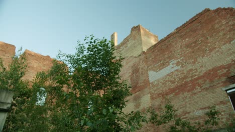 Semi-Demolished-Abandoned-Industrial-Building-Ruins-Surrounded-by-Trees-and-Bushes