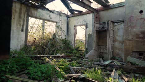 abandoned house interior with vegetation overgrowth