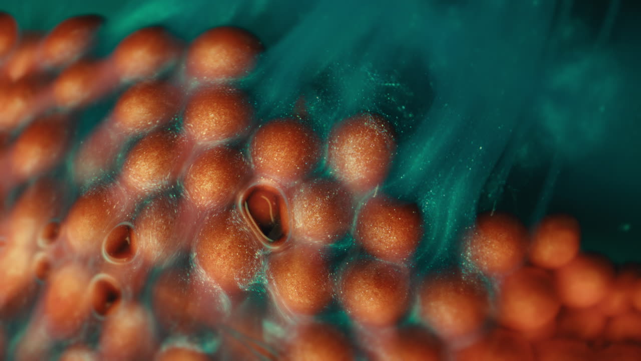 Abstract Macro of Orange Bubbles in Green Fluid