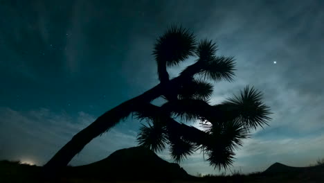 de hele dag en nacht time-lapse in de mojave-woestijn met een joshua-boom op de voorgrond, vulkanische bergen op de achtergrond en de lucht en de maan die opkomt en ondergaat in de lucht