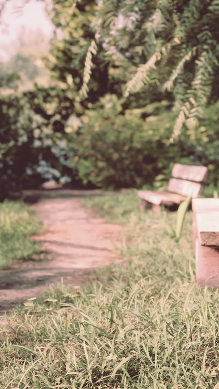 un parque sereno con bancos de madera y un camino de hierba