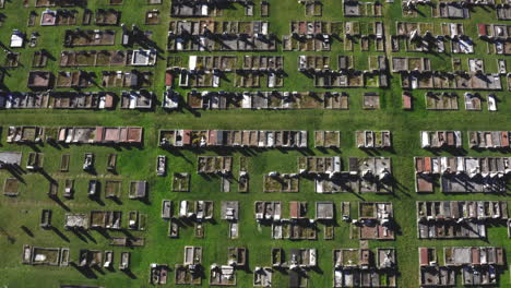 Aerial-top-down-drone-shot-over-a-large-graveyard-cemetery-in-Australia