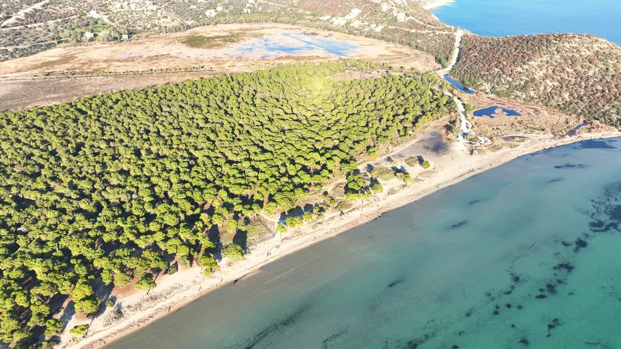 그리스 아티카에 있는 스키니아스 해변의 공중 촬영 - 이 숲은 그리스에서 두 곳에서만 발견되는 해변 에 위치한 희귀한 소나무 숲입니다.