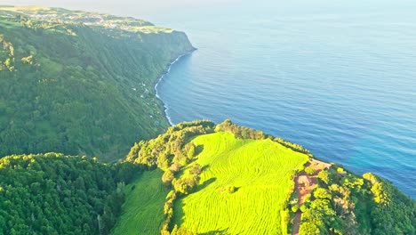 Exuberantes-Acantilados-Verdes-Que-Se-Encuentran-Con-El-Océano-En-Miraduros-Ponta-Da-Dawn,-Portugal,-Vista-Aérea