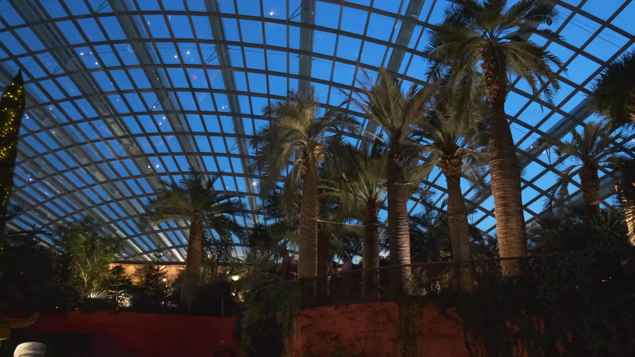 밤에는 만 의 정원