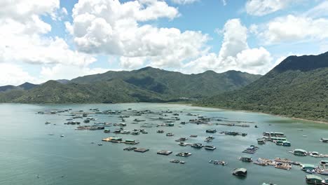 drone footage of the sai kung fish rafts with clean water