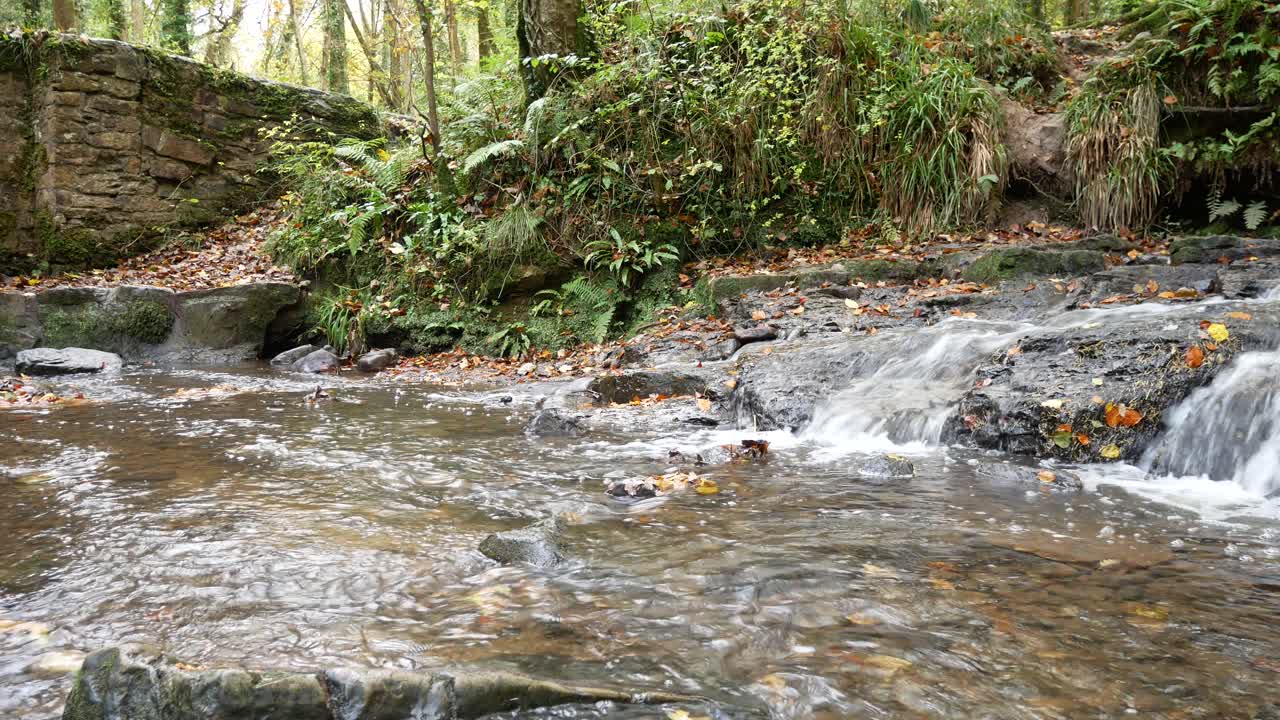 Cascading river water flowing into lush autumn woodland creek low angle dolly left