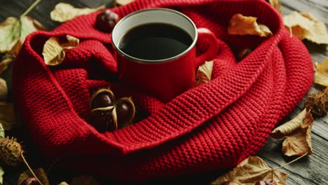 Leaves-and-nuts-near-scarf-and-hot-beverage