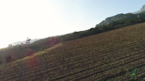 winter vineyard landscape with mountains and cable car