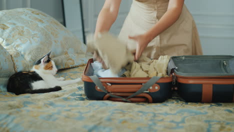 Woman-Folds-Clothes-In-A-Suitcase-A-Kitten-Sits-Next-To-And-Watches-Her