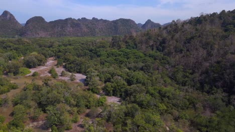 Manglares-Río-Vista-Exuberante-Vegetación-Cielo-Nublado