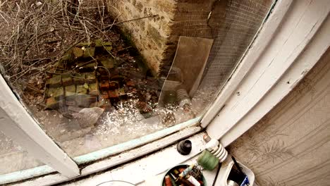 observing through the window like a rooster examines the place of cutting chicken by kite in rural yard in early spring