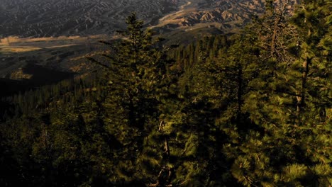 Beautiful-aerial-over-the-Pine-Mountain-wilderness-and-trees-slated-to-be-logged-and-habitat-removed-6