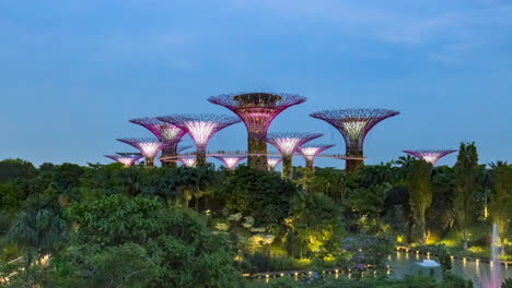 gardens by the bay in singapore at dusk