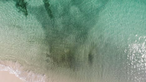 Panamá-En-Febrero-Un-Dron-Dispara-A-La-Isla-Contadora-Nadando-Entre-Peces-Capturados-Con-Un-Dron-13