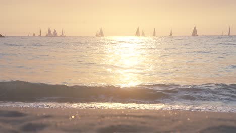 golden hour on venice beach of los angeles ,sailboat sailing at the ocean, the waves and sand are illuminated golden by the sunset,slowmotion