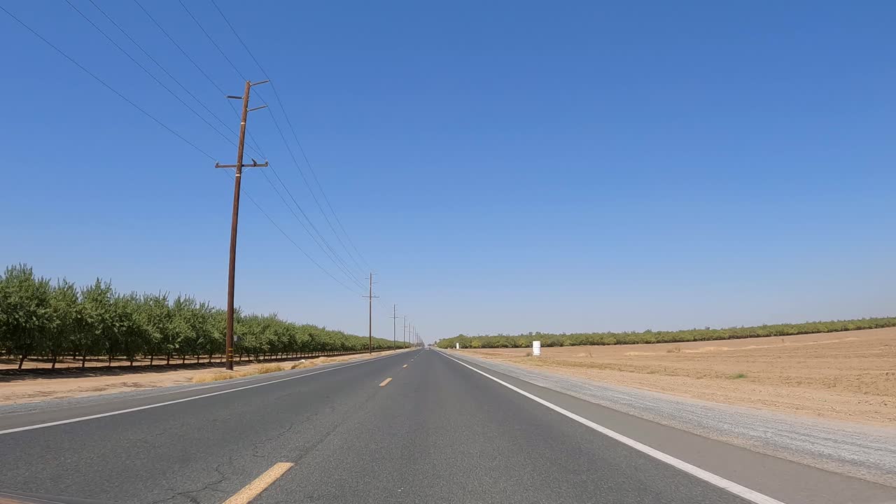 맑고 화창한 날 과수원 옆에서 운전하는 경우 - 운전자 또는 승객의 관점