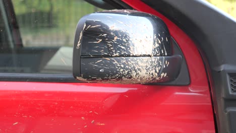 dirty car side mirror