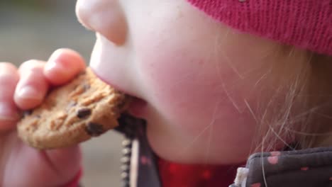 cute child eating a chocolate chip cookie outside during cold day