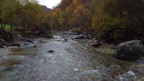 Mountain-river-water-flow-with-red-and-yellow-trees-autumn-foliage-aerial-view