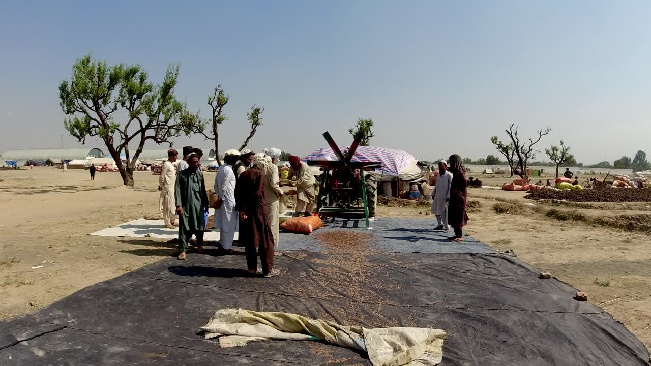 칠고자 견과류 를 팬 으로 청소 하는 것