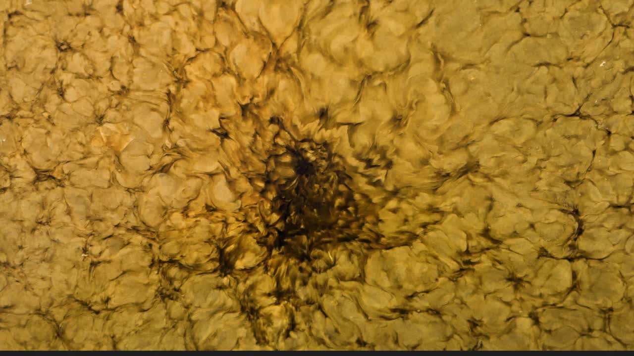 추상 액체 예술 - 잉크 색상 - 노랑 검정 uhd