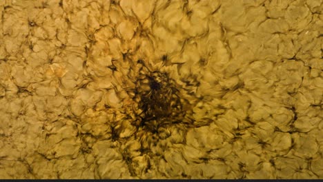 arte líquido abstracto - colores de tinta - amarillo negro uhd
