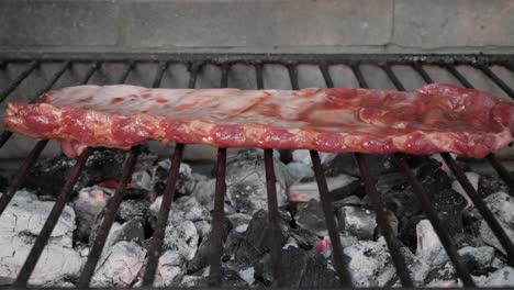 rack of ribs grilling over hot charcoal with smoke rising, rustic outdoor bbq vibe