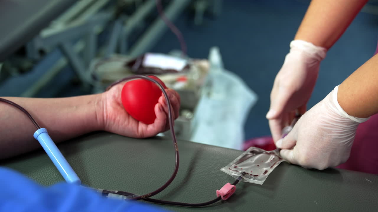Drip bag is filled with donor's blood. Donating the blood in the hospital. Close up.