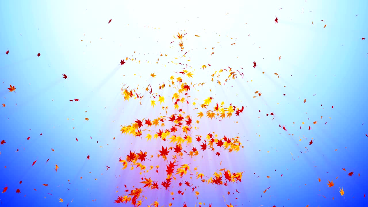 다채로운 메이플과 잎에서 나온 소용돌이, 가을 잎의 나선형 반이는 입자, 춤추는 잎, 다채로운 자연 터널 루프 애니메이션.