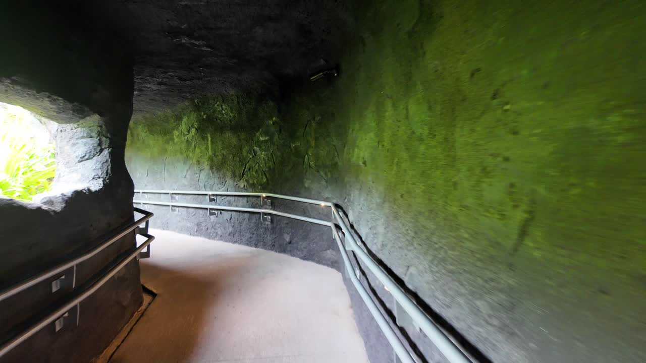 POV Walking Through a Dark Mossy Tunnel with Handrails