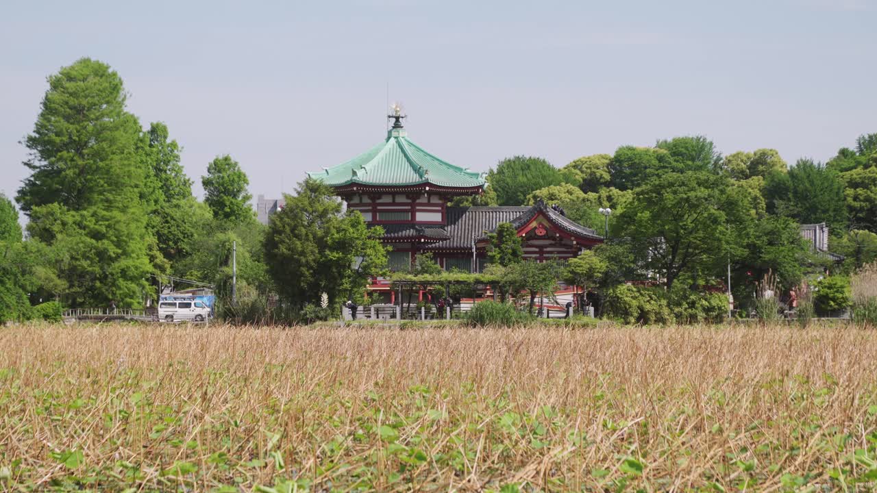 Japanese beautiful traditional Benten-do temple in Ueno park. Static distant view