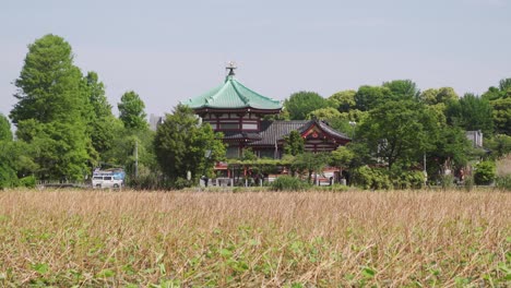 japanese beautiful traditional benten-do temple in ueno park. static distant view
