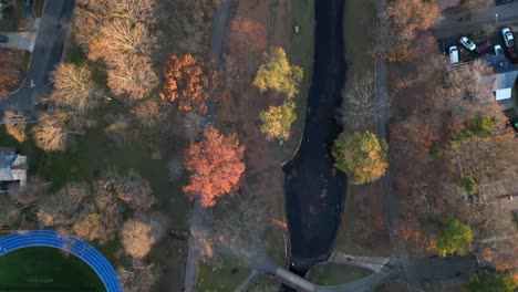 una vista aérea de arriba hacia abajo sobre un parque colorido durante la temporada de otoño en un día soleado