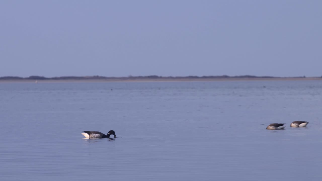 케이프 코드 등대