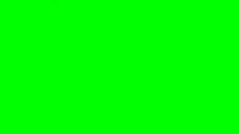 Person-making-hand-gesture-against-green-screen-background