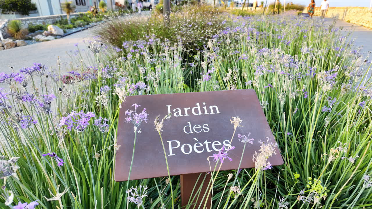 Gros plan de fleurs violettes avec une vue floutée sur le Jardin des Poètes à Antibes, France