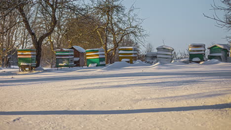 Toma-De-Tiempo-De-Cajas-De-Abejas-Cubiertas-De-Nieve-En-Un-Frío-Día-De-Invierno