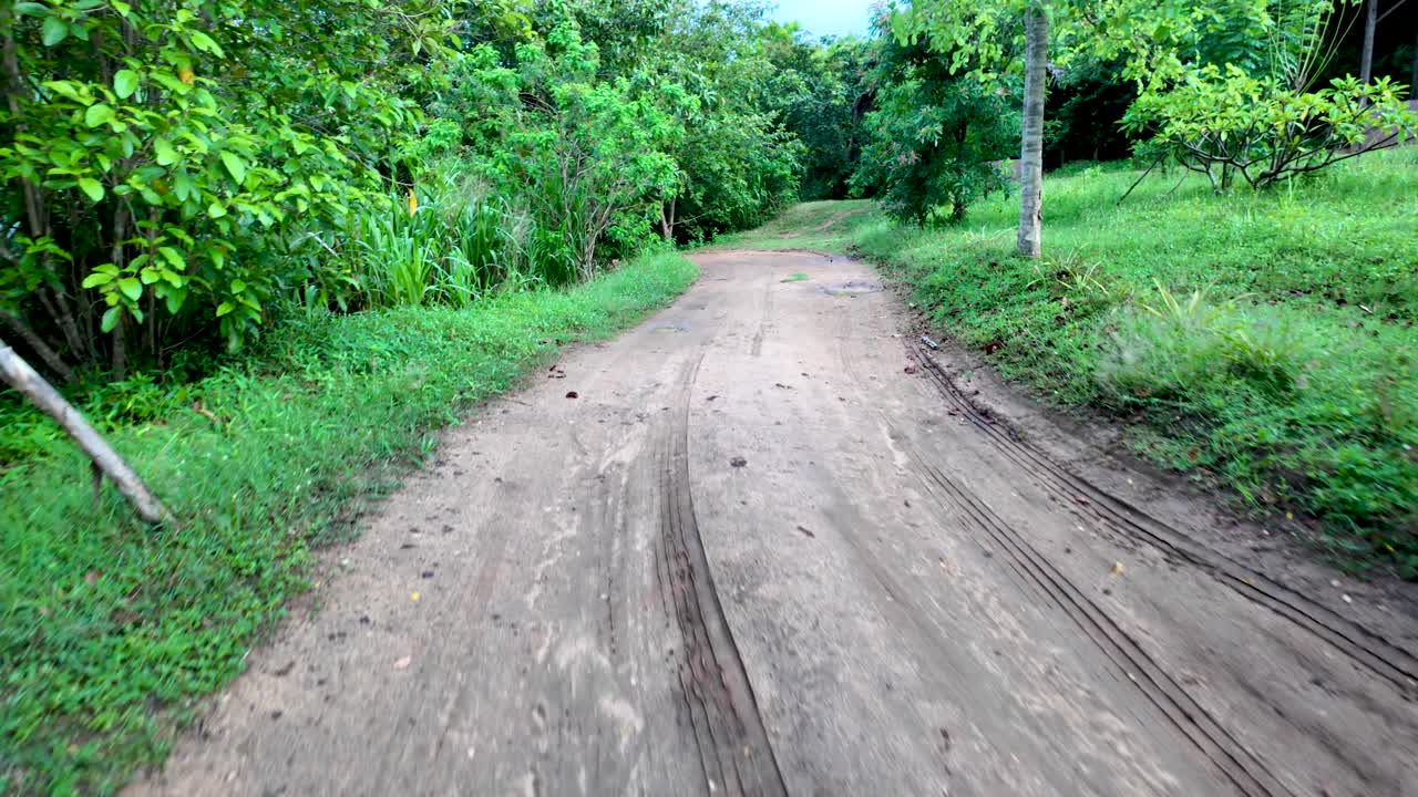 POV walking along dirt path winds through a vibrant, lush green forest landscape, surrounded by trees and grass