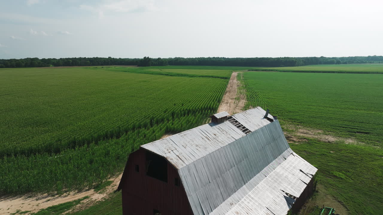 antigua casa de granero con plantación de hoja perenne en el fondo cerca de biscoe en el condado de prairie, arkansas, estados unidos
