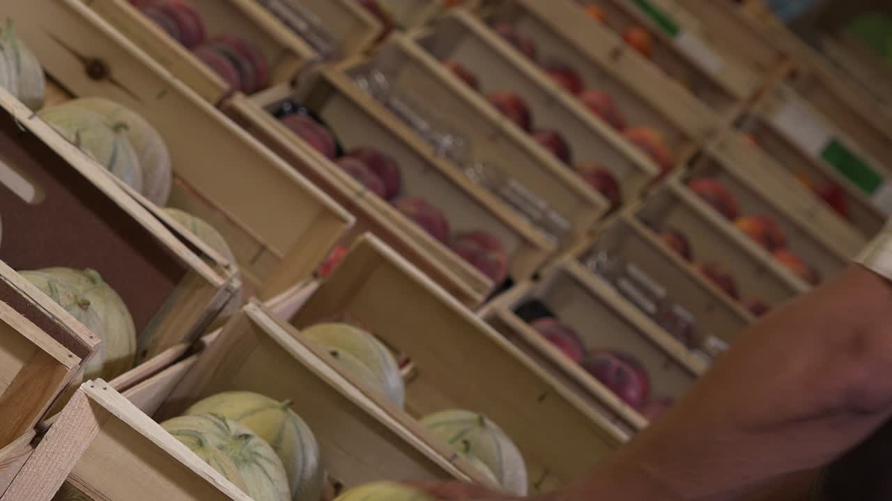 손에 멜론을 선택하세요.