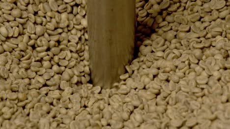 Fresh-bean-of-coffee-falling-into-industrial-machine,-close-up-slow-mo-shot
