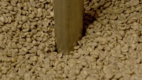 grano de café fresco que cae en una máquina industrial, cierra la toma en cámara lenta