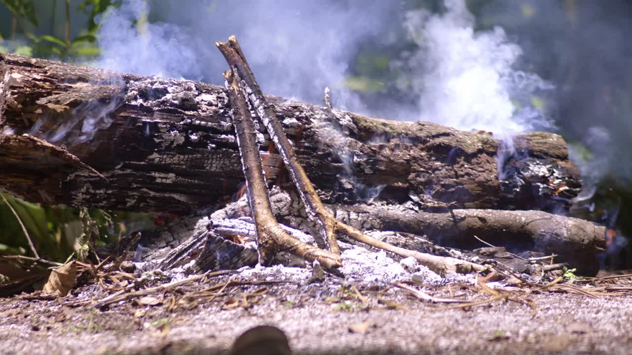 Tree log burning small fire, emitting white smoke, slow mo