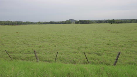 pan right shot of wide green grassland on cloudy day