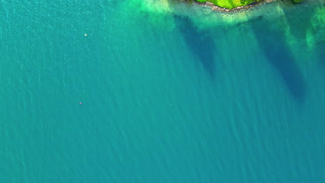 downward view of lake by drone, with shore just visible in top right corner